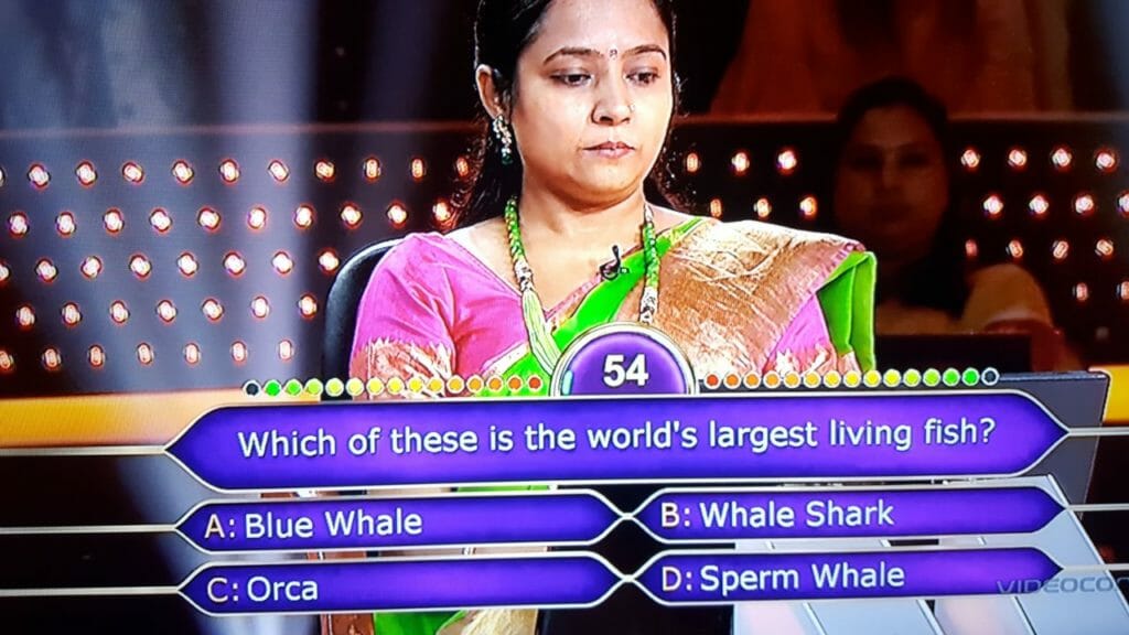 Ques : Which of these is the world's largest living fish?