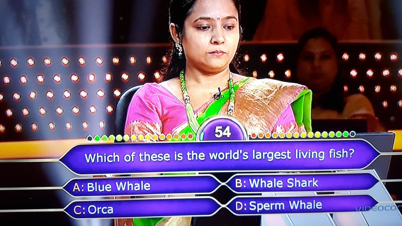 Ques : Which of these is the world’s largest living fish?