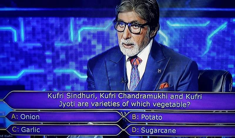 Ques : Kufro Sindhuri, Kufri Chandramukhi and Kufri Jyoti are varieties of which vegetable?
