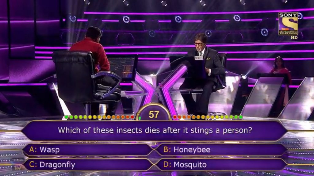 insects dies after it stings