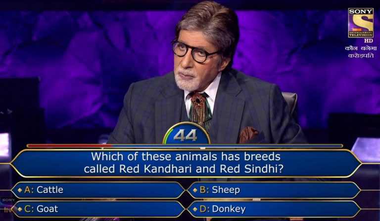 Ques : Which of these animals has breeds called Red Kandhari and Red Sindhi?