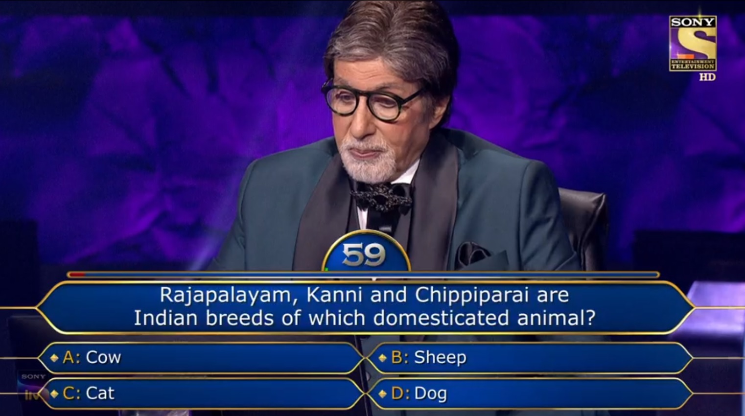 Ques : Rajapalayam, Kanni and Chippiparai are Indian breeds of which domesticated animal?