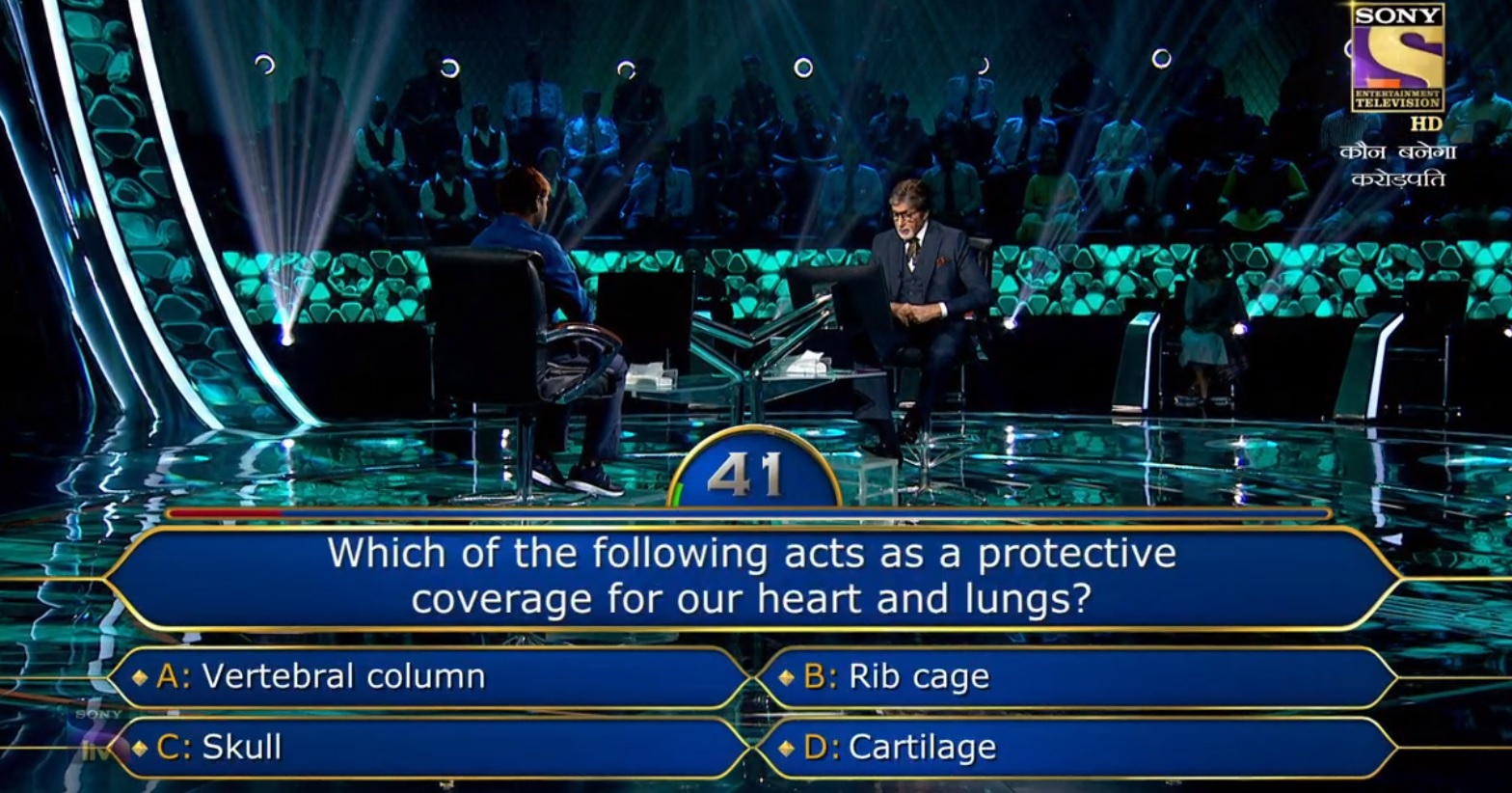Ques : Which of the following acts as a protective coverage for our heart and lungs?