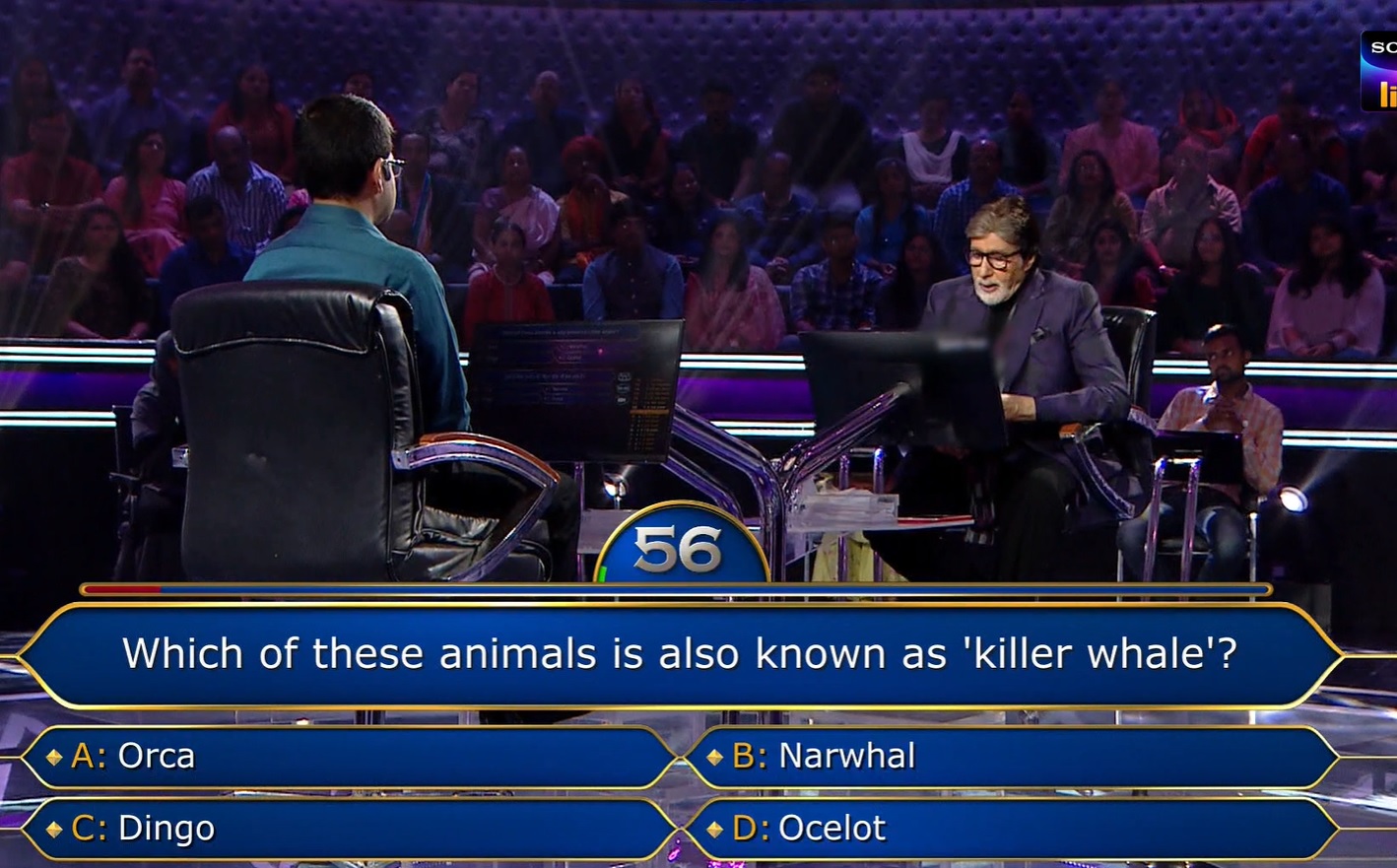 Ques : Which of these animals is also known as ‘killer whale’?