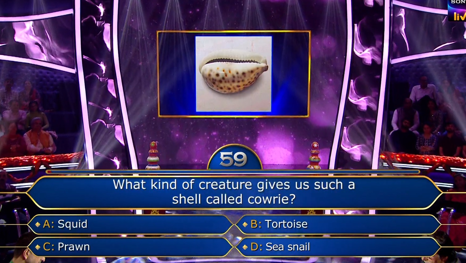 Ques : What kind of creature gives us such a shell called cowrie?
