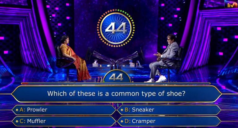 Ques : Which of these is a common type of shoe?